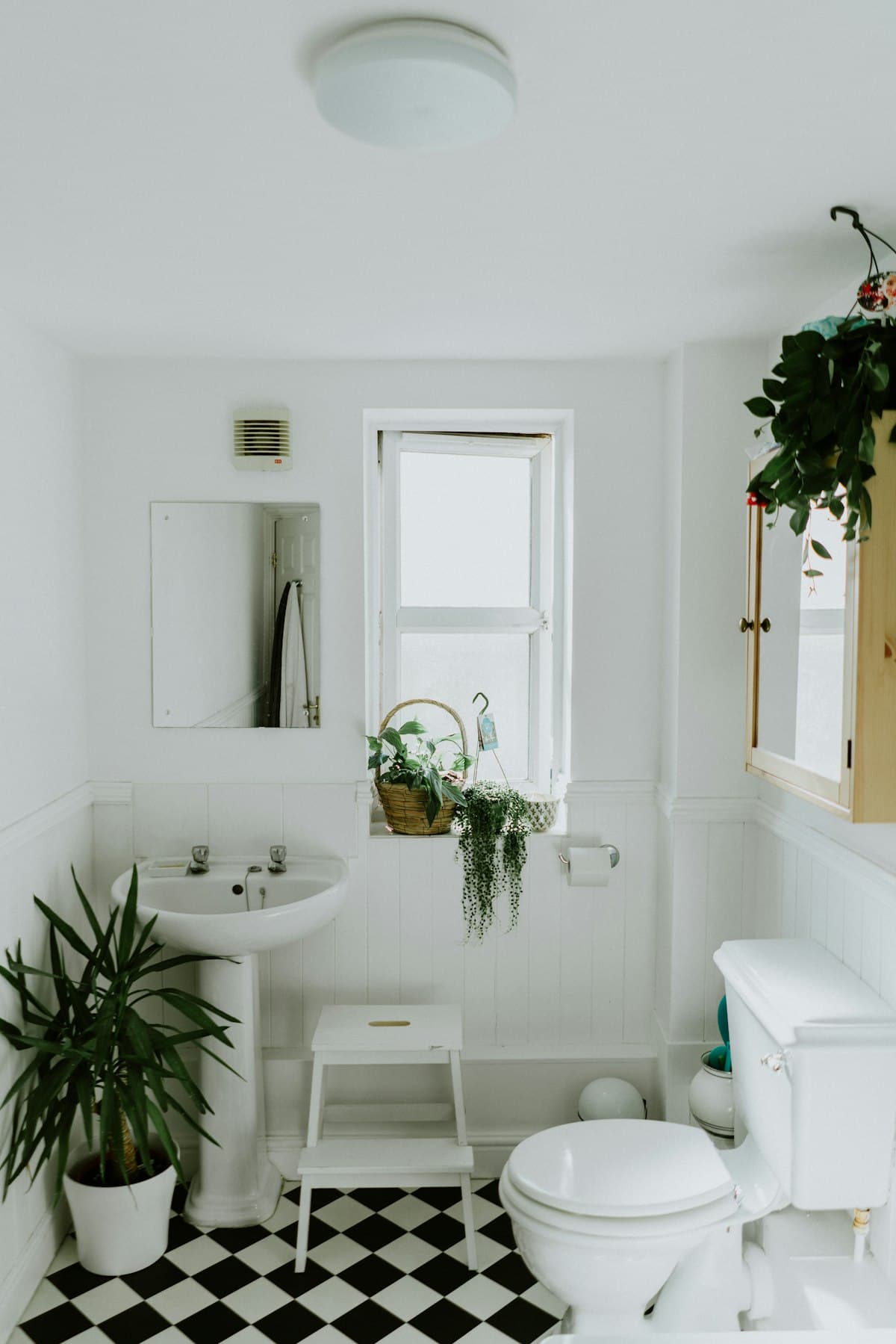 Best Paint for Bathrooms: Finishes, Types, and Mold-Resistant Options